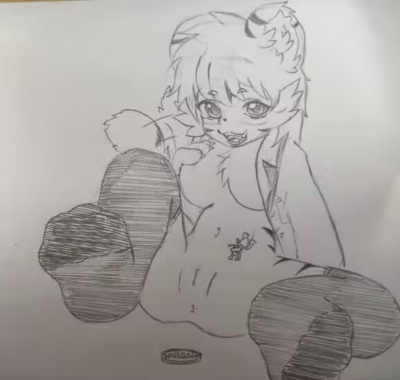 20241224-202107.jpeg